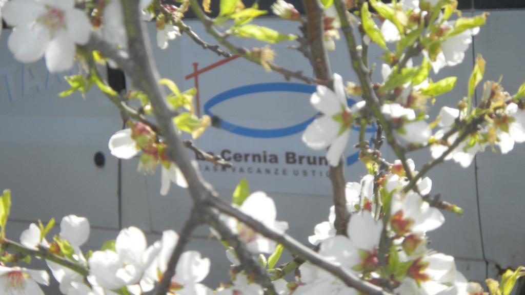 Case Vacanze La Cernia Bruna Isola di Ustica Εξωτερικό φωτογραφία