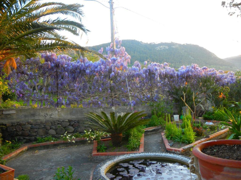Case Vacanze La Cernia Bruna Isola di Ustica Εξωτερικό φωτογραφία